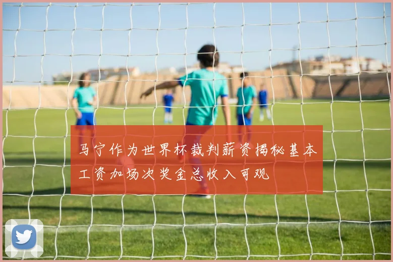 马宁作为世界杯裁判薪资揭秘基本工资加场次奖金总收入可观