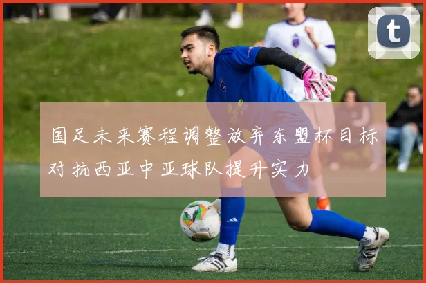 国足未来赛程调整放弃东盟杯目标对抗西亚中亚球队提升实力